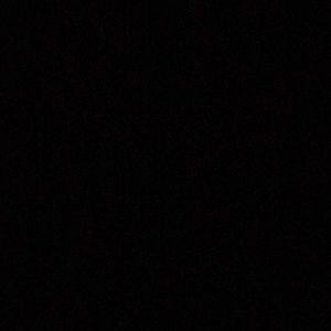 Meet your Posher, Sophia